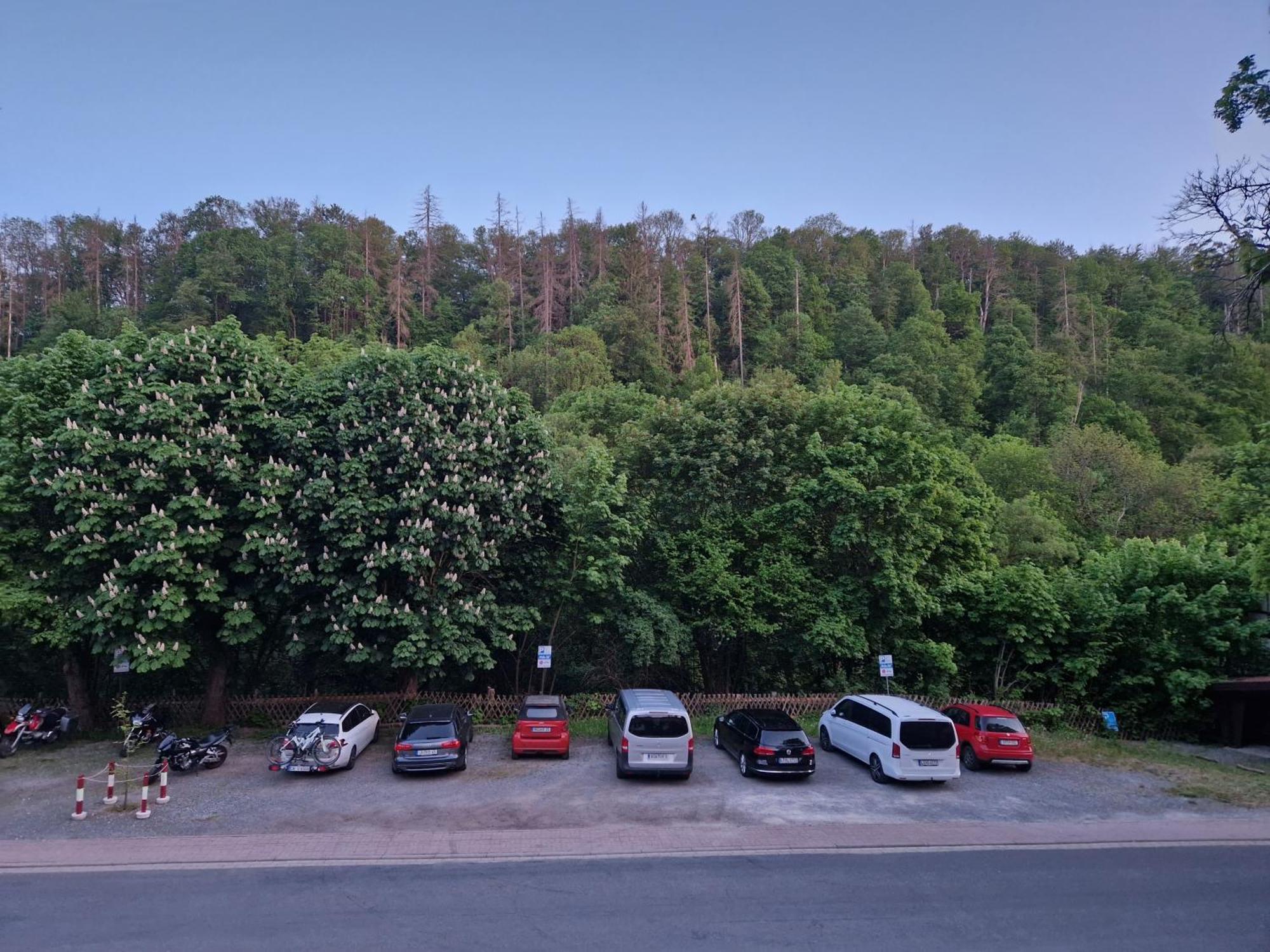 Weißes Roß 2* Altenbrak